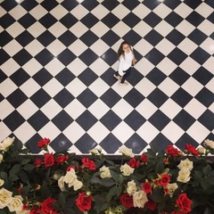 Fototapety na wymiar - Fototapeta24.pl