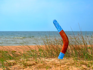 Boomerang on overgrown sandy beach.