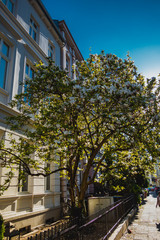 Gründerzeithäuser in der Bonner Südstadt