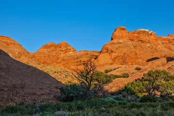 Arches National Park Landscape