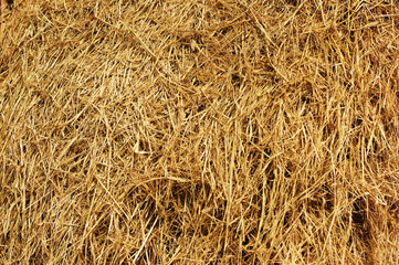 The straw background. Indian straw