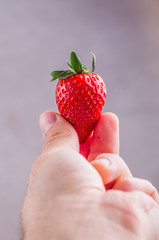 Obraz premium Strawberry on hand.