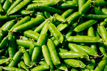 Fresh Vegetable Organic Green Beans Background