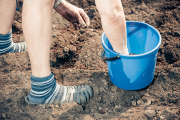 seasonal work on farm ground