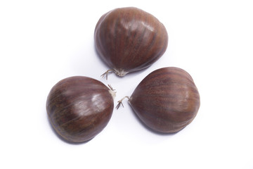three chestnuts isolated on white background