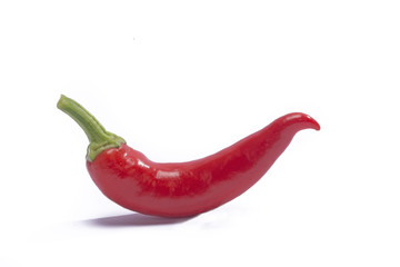hot peppers on white background