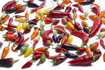 hot pepers on white background