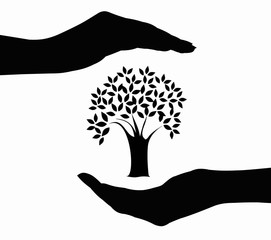 Tree in hands silhouette