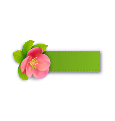 Special spring offer sticker with flower, isolated on white back