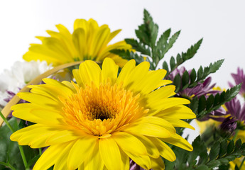 Basket of chrysanthemums and gerbera flowers