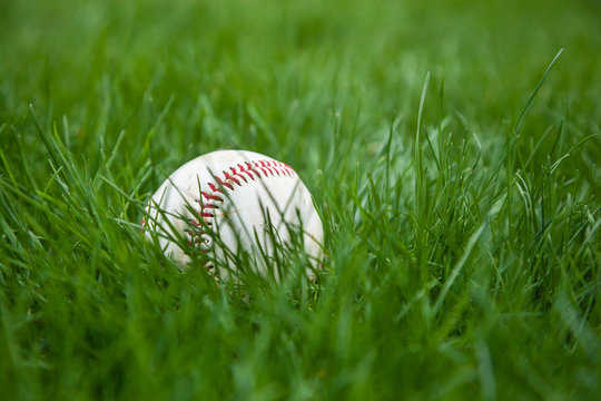 Baseball in Grass