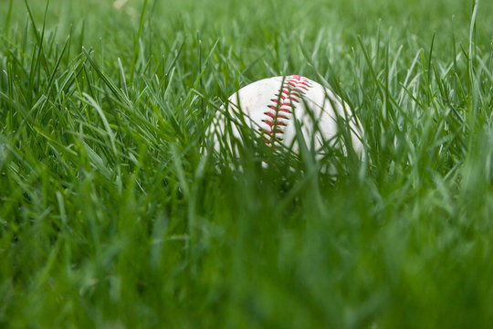 Baseball in Grass