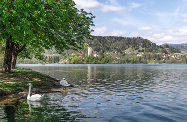Lake Bled in Slovenia, Spring 2015