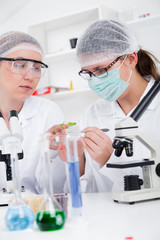 Team of scientists in a laboratory working on chemical testing