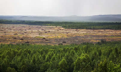 Fototapeta premium Bledow Desert. Poland