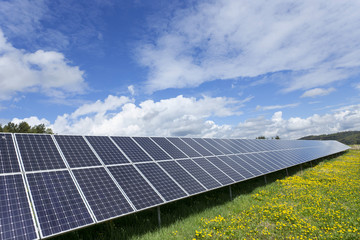 Solar Power Station on the spring flowering Meadow