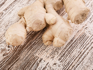 Fototapeta premium Ginger