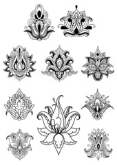 Persian or indian paisley flowers set