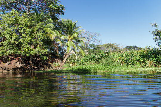 Island or Isletas, of Lake Nicaragua near Granada, Nicaragua