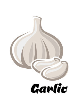 Cartoon bulb of white garlic with cloves