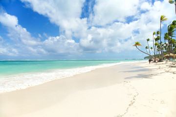 Fototapeta na wymiar Tropical Paradise - White Sands Beach
