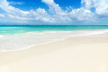 Tropical Paradise - White Sands Beach - obrazy, fototapety, plakaty