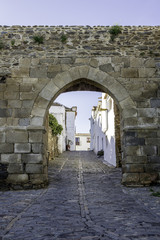 Fototapeta na wymiar Historic town of Monsaraz, on the right margin of the Guadiana