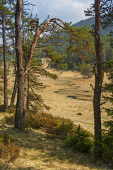 Valley at Rhodope mountain