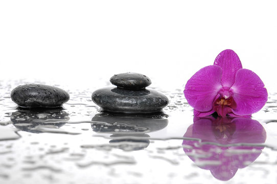 Spa still life with pink orchid with wet stones 