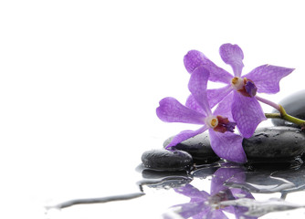 Obraz na płótnie Canvas beautiful branch pink orchid with black stones 