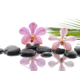Obraz na płótnie Canvas spa concept with two orchid on wet black stones with palm leaf
