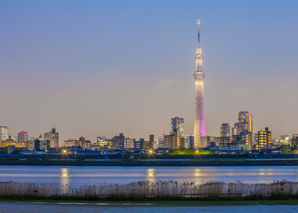 Obraz premium Widok na miasto Tokio z Tokio niebo drzewo i rzekę wieczorem