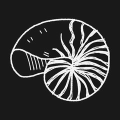 shell doodle