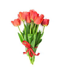 Bouquet of red tulips with red ribbon isolated on white