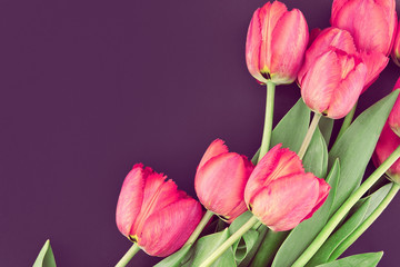 Bouquet of pink tulips on colored background with space for mess