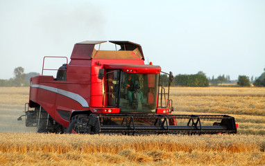 Field and harvester