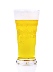 beer in glass isolated on white background