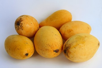 Mangoes fruit isolates on white background
