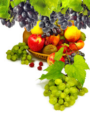 different fruits closeup