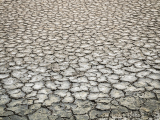 Dirty crack dry ground texture in salt pan.