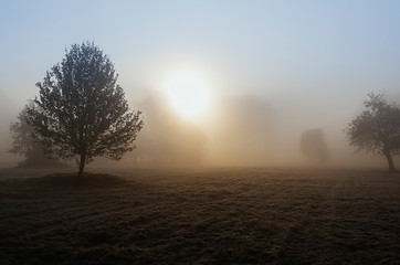 Fototapeta na wymiar Misty autumn dawn