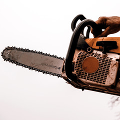 Man sawing a log in his back yard
