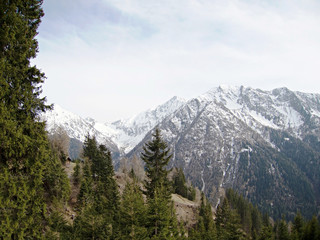 Ausblick in die Alpen
