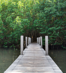 long wood bridge in mangrove forest, Chanthaburi,Thailand