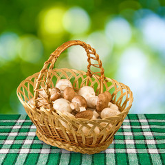 baskets with mushrooms on a green background
