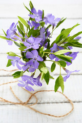 Spring blue flowers on a white wooden boards