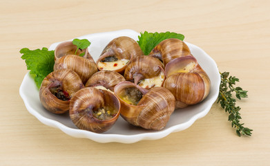 Fototapeta premium Escargot