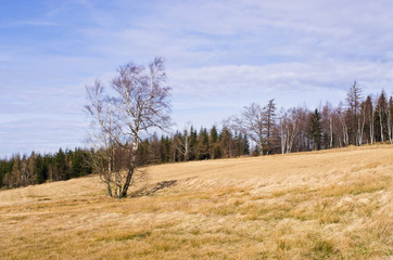 Fototapeta premium Early spring in the mountains, Poland