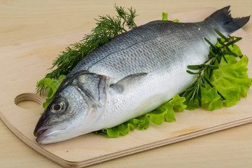 Raw seabass
