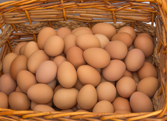 Fresh Eggs in the Basket